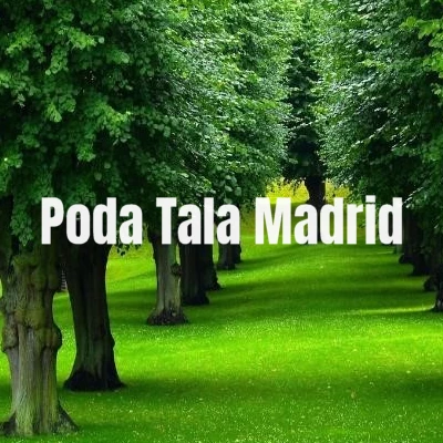 Jardinería Natur Poda Tala Madrid